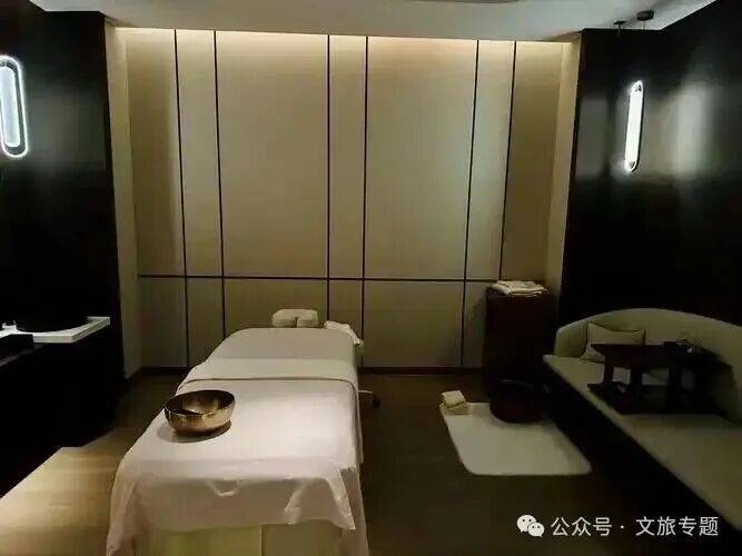 ： 健康比金钱重要!疗愈酒店会成为下一个兵家必争之地吗？pg电子中国网站2025高净值人群消费报告、疗愈行业报告(图10)